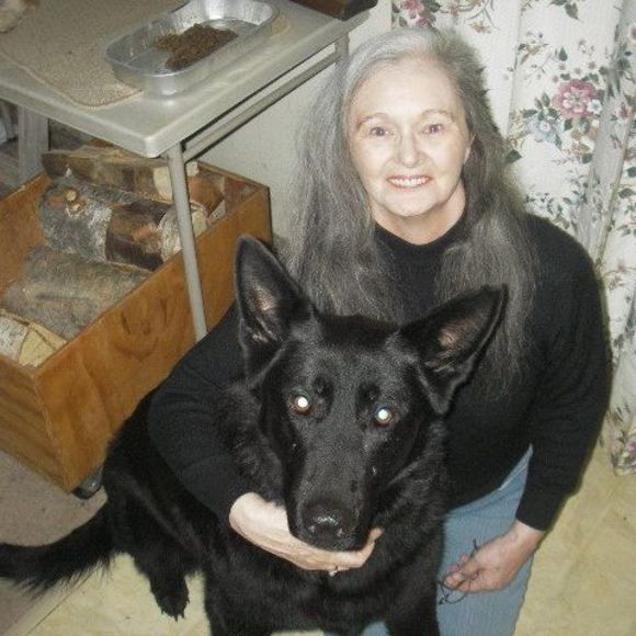 Meet your Posher, Susi - Picture 1 of 1